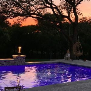 Meet your Posher, Toni